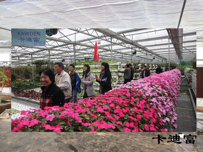 湖北55寸液晶拼接屏农业生态园案例图 湖北55寸液晶拼接屏农业生态园案例图