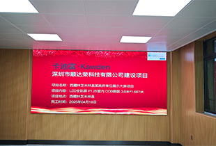 西藏林芝项目P1.25COB显示屏案例图片分享